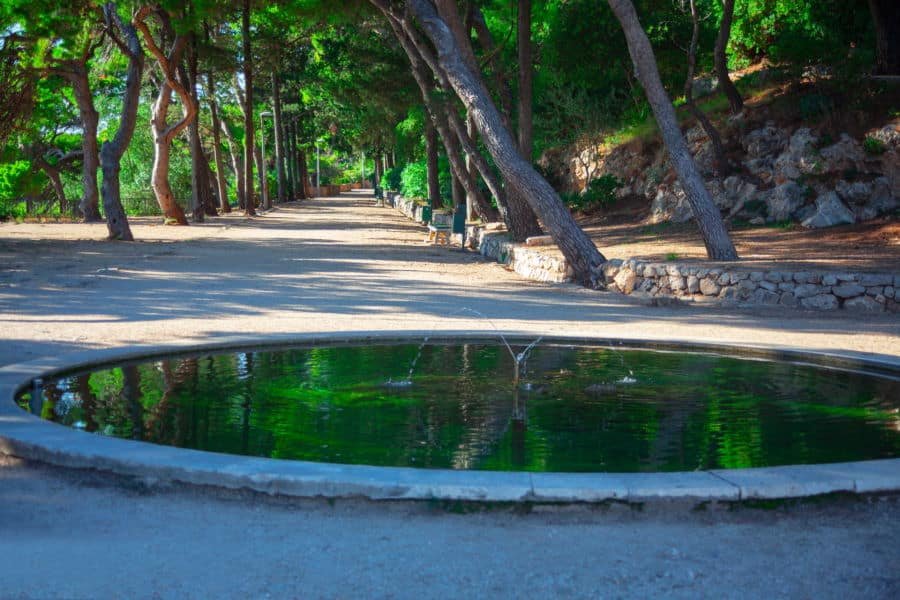 Gradac Park in Dubrovnik Croatia . Fountain in the coniferous park